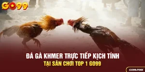 Đá gà Khmer Trực Tiếp Kịch Tính Tại Sân Chơi Top 1 GO99