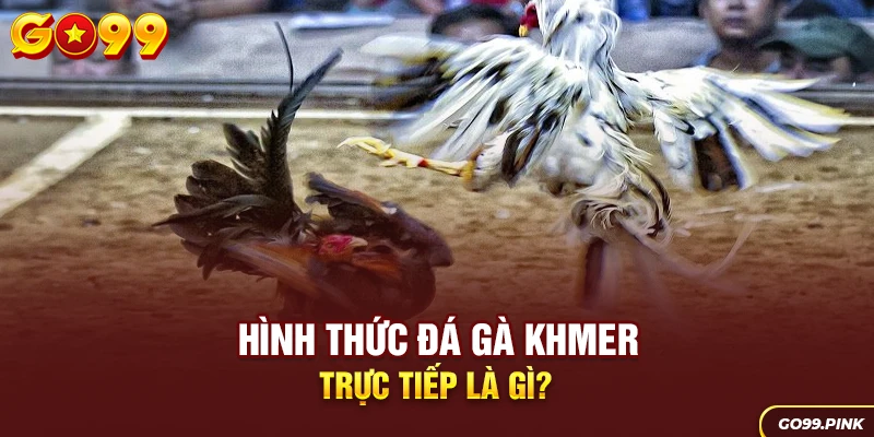 Hình thức đá gà Khmer trực tiếp là gì?